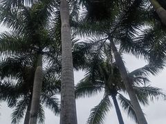 -深圳湾公园(南山区)