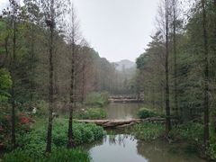 -云溪植物园