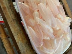 鲮鱼泡-章记正宗南岗鱼蛋火锅