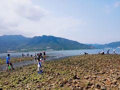 -坝光海滩