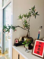 -Your Yoga Pilates·瑜伽普拉提习练室