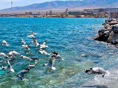 -青海湖国家重点风景名胜区