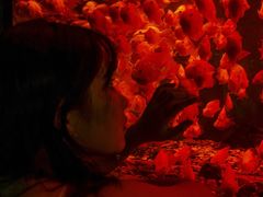 -正佳极地海洋世界