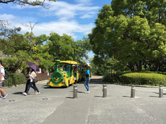 -大阪市立自然史博物馆