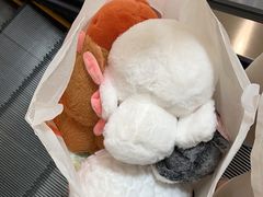 -爱玩嘉年华(合川财富广场店)
