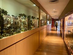 -新加坡佛牙寺龙华院