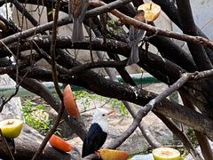 -昆明动物园