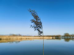 -野鸭湖国家湿地公园