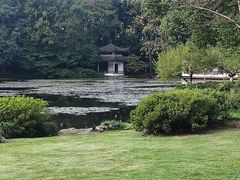 -杭州植物园