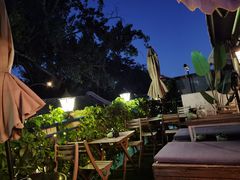 -Sirena海妖日咖夜酒