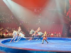 -珠海横琴长隆《卡卡虎奇遇记》