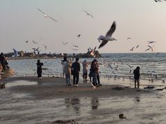 -老虎石海上公园