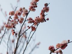 -上方山森林动物世界