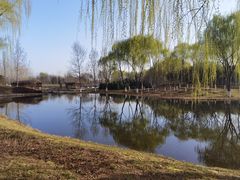 -西安浐灞国家湿地公园