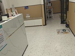 -瑞派康怡24h宠物医院·犬猫医疗中心·微创绝育(瑞景分院)