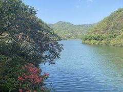 -永州阳明山国家森林公园