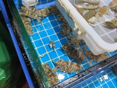 -上海阿潘舟山海鲜店(东宝兴路店)