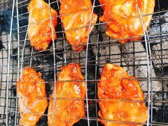 -吴淞炮台湾湿地森林公园烧烤区