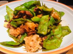 -九毛九西北菜(大东海店)