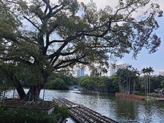 -荔湾湖公园