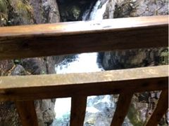 upload_pic-大明山自然探索公园