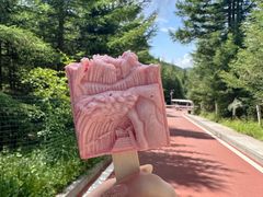 -芦芽山旅游度假区
