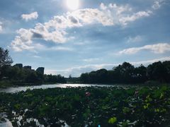 -新江湾城公园