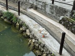 -车溪民俗旅游区