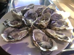 深海黄金蚝-千岛蚝高压锅生蚝·人参火锅(白云万达店)