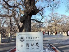 -北陵公园