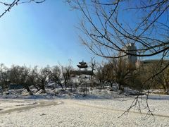 -青城公园