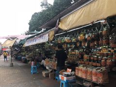 -大湾区中央湿地公园-十九涌