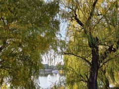 -泰山风景名胜区-虎山公园