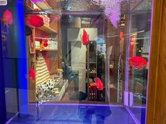 -小吊梨汤·北京菜·烤鸭(清河万象汇店)