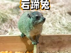 -上海野生动物园