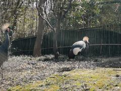 -上海野生动物园