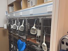 -瑞派康怡24h宠物医院·犬猫医疗中心·微创绝育(瑞景分院)