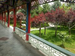 -兰山公园