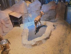 -酷嗒动物文化乐园(cutezoo西溪乐天城店)