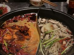 -朱光玉火锅馆(正弘城店)