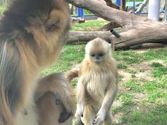 -大连森林动物园