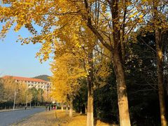 -浙江农林大学(东湖校区)