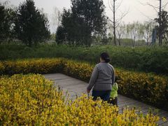 -洨河生态公园