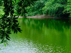 -深圳国际园林花卉博览园