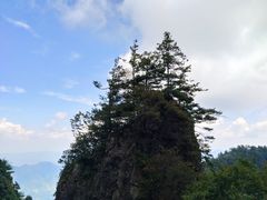 -秦岭天竺山景区