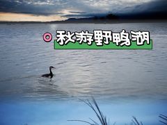 -野鸭湖国家湿地公园