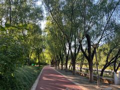 -南长河公园