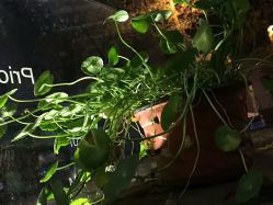 点击看大图 -M+hair salon专业造型沙龙