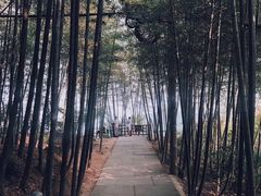 -径山寺
