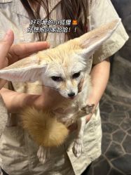 -Zoolung Zoolung动物主题公园(海信广场店)